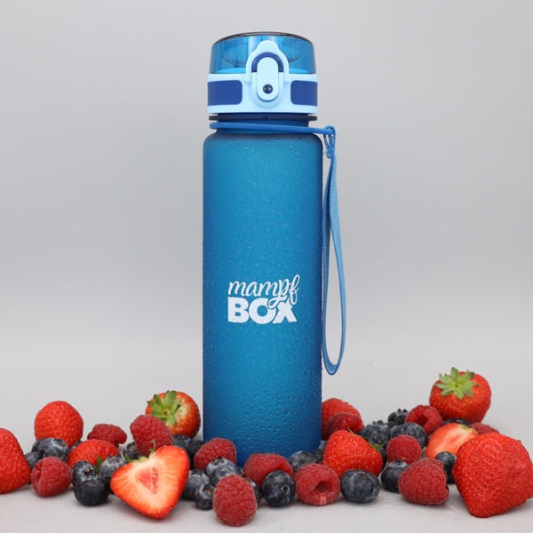 Blau auslaufsichere Trinkflasche. BPA-frei und für Kohlensäure geeignet. 500ml. Ideal für Kinder in der KiTa, Schule oder Spielplatz.