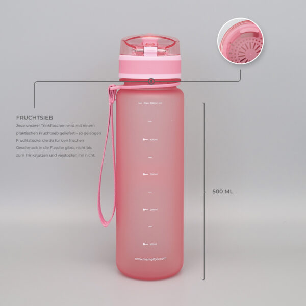 Tritan Trinkflasche 500ml – BPA-frei & Auslaufsicher